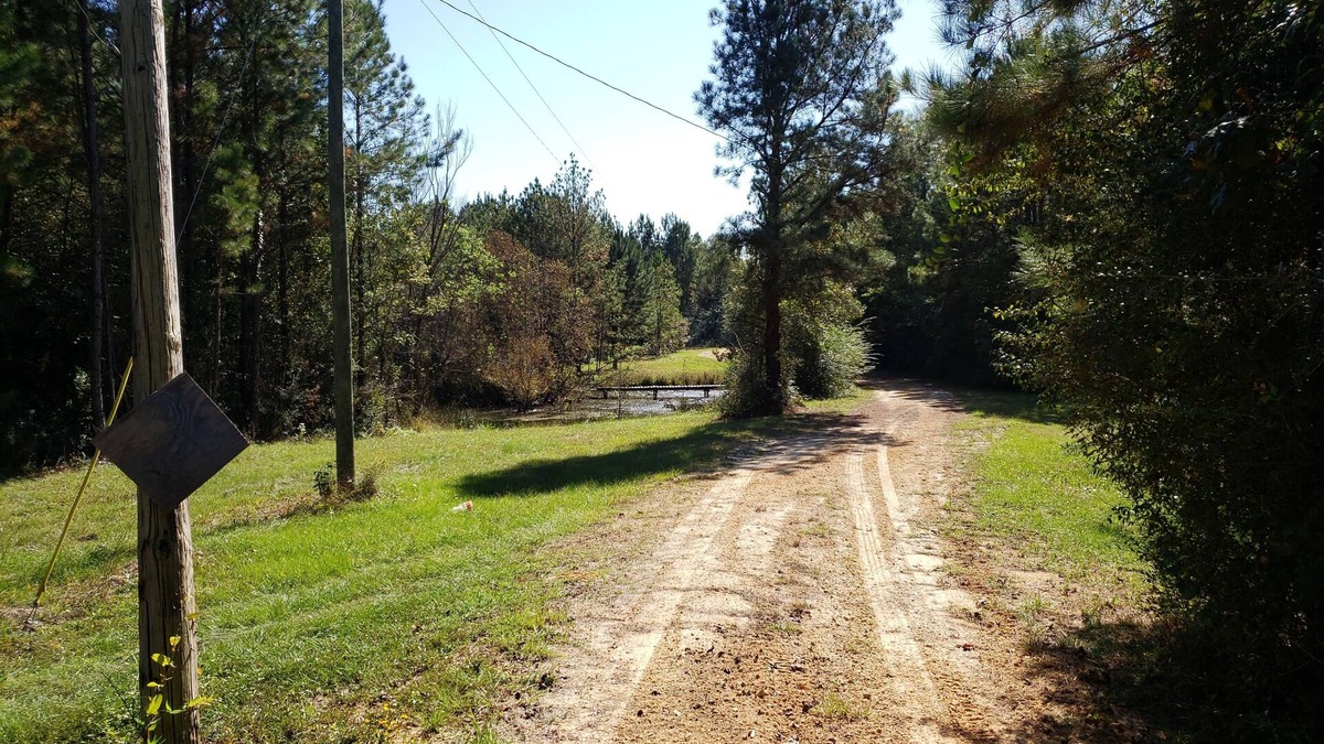 Stone County House | Cozy waterfront cabin on 20 acres