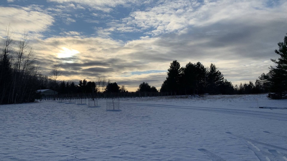 Charlevoix Ski Chalet | Cozy Winery Chalet - 5 miles south of Downtown Charlevoix