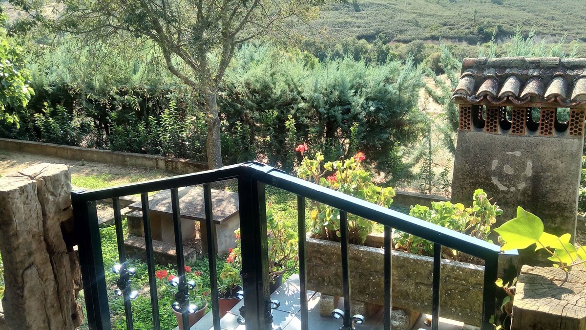 Canamero House | CR Yerbabuena, Independent Patio