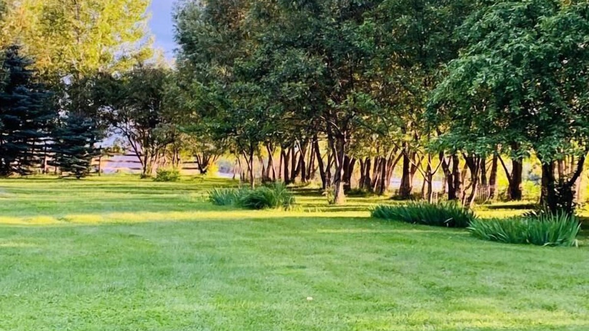 Livingston Cabin | Crabapple Cabin-Secluded Cabin on the Banks of the Yellowstone River