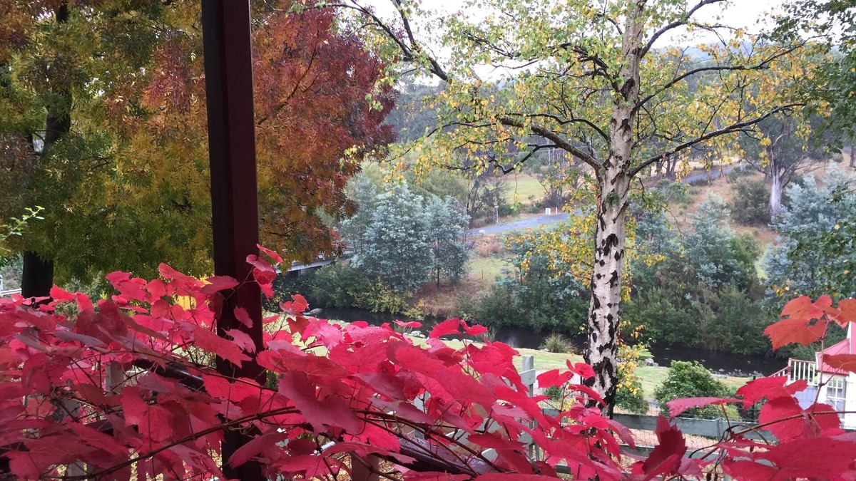 Grove Cottage | Crabtree House