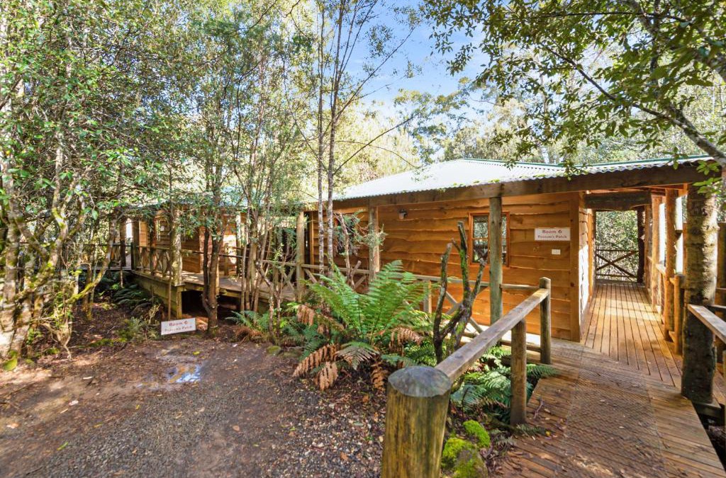 Moina Hotel | Cradle forest inn