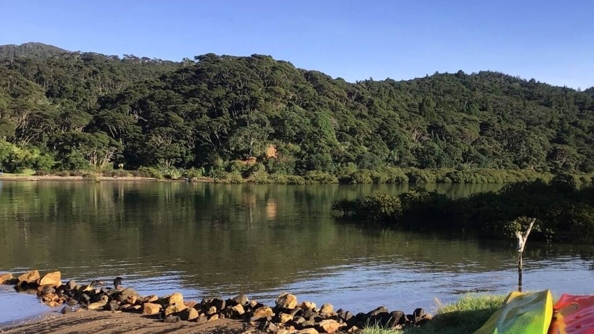 Whangaparapara Harbour Cabin | Creature comfort off the beaten track, Whangaparapara
