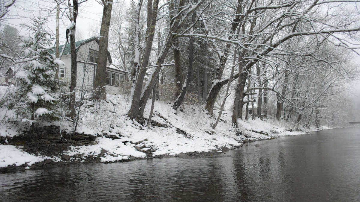 Driftwood Cabin | Creek-Side Living In The Pennsylvania Elk Range