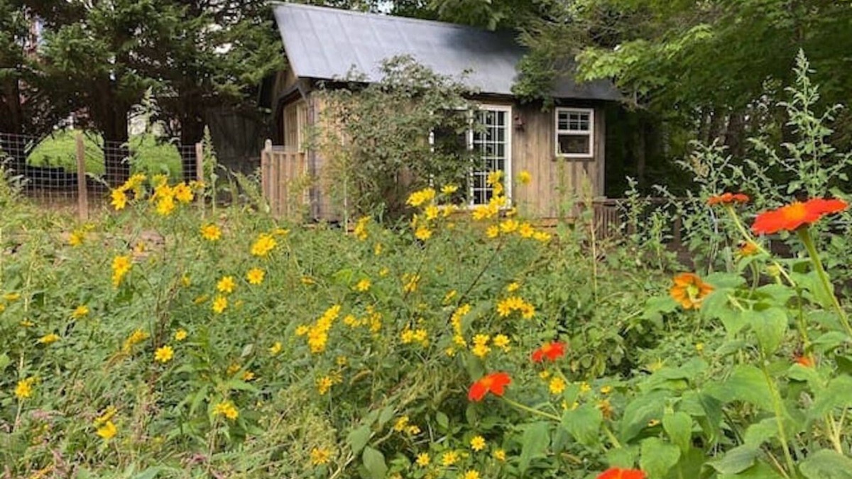 Court House Cabin | Creek View Cabin at Skipwillow Farm