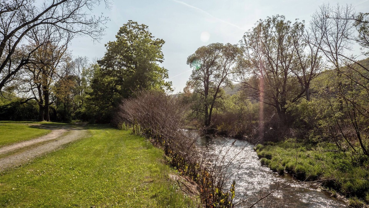Corning Cabin | Creekside Cabin - Watkins Glen, Corning, Finger Lakes with Hot Tub