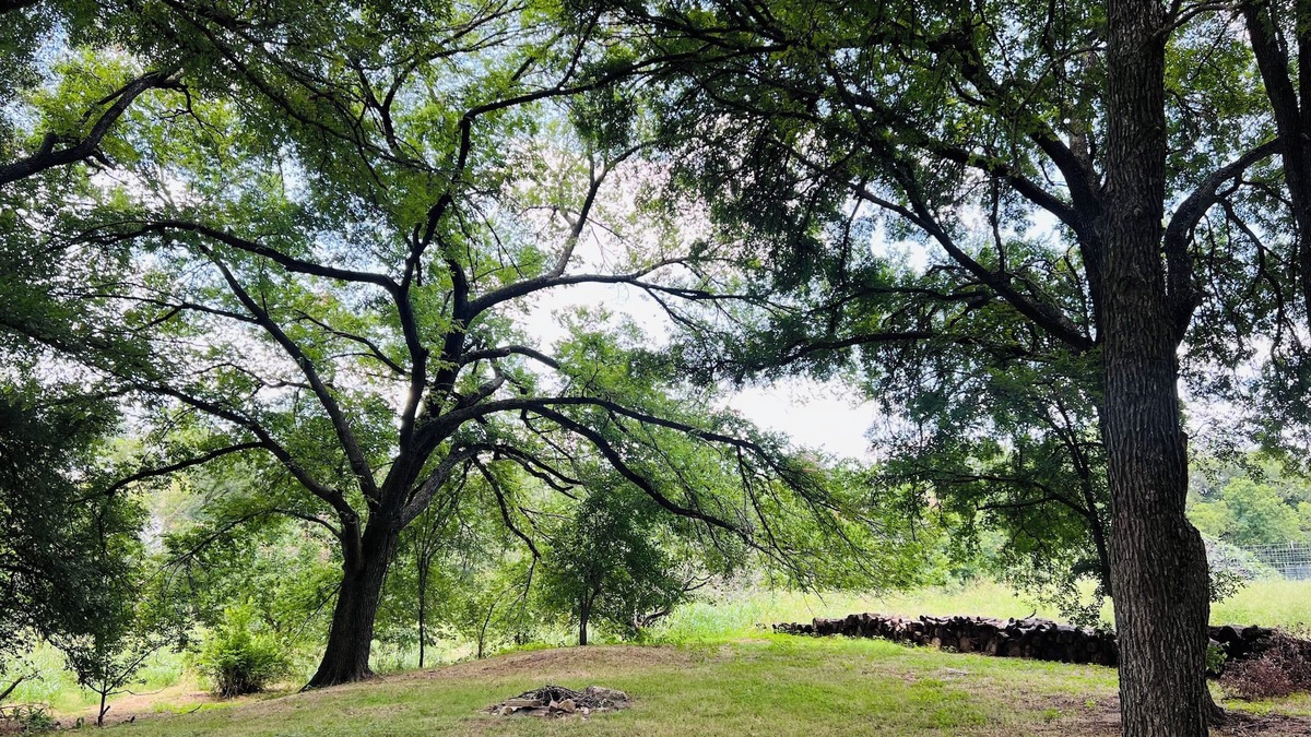 Austin Cottage | Creekside Cottage in the City, 1 BR, addt’l sleeper sofa, AC & all amenities