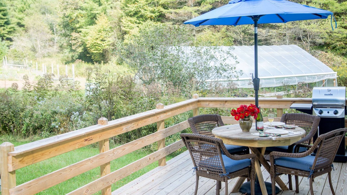 Dugspur Cottage | Creekside Cottage Near Floyd, VA, and Blue Ridge Parkway with deck and gas grill
