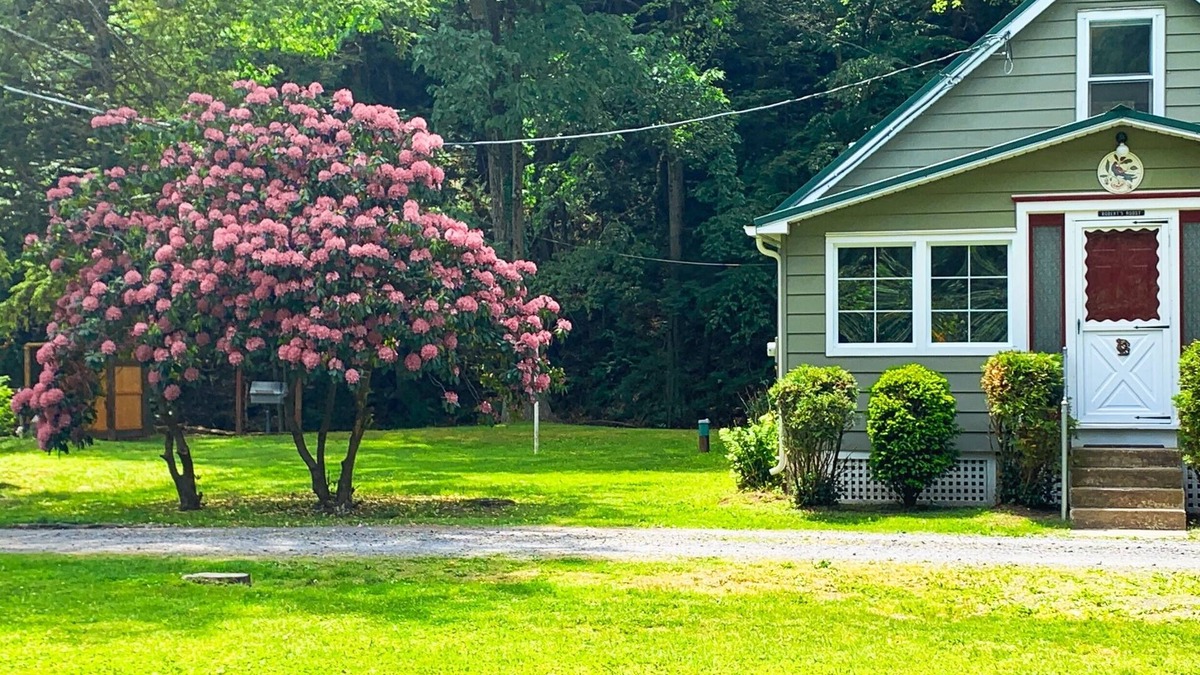 Catawissa Cottage | Creekside Cottage Next to Knoebels Amusement Resort. Large Yard, Fire Pit, Patio