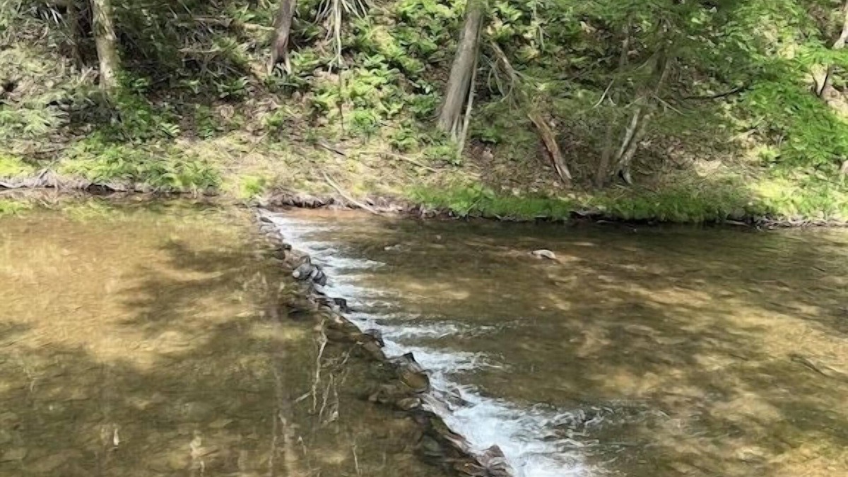 Catawissa Cottage | Creekside Cottages, Cottage #2, across from Knoebel's Amusement Resort!