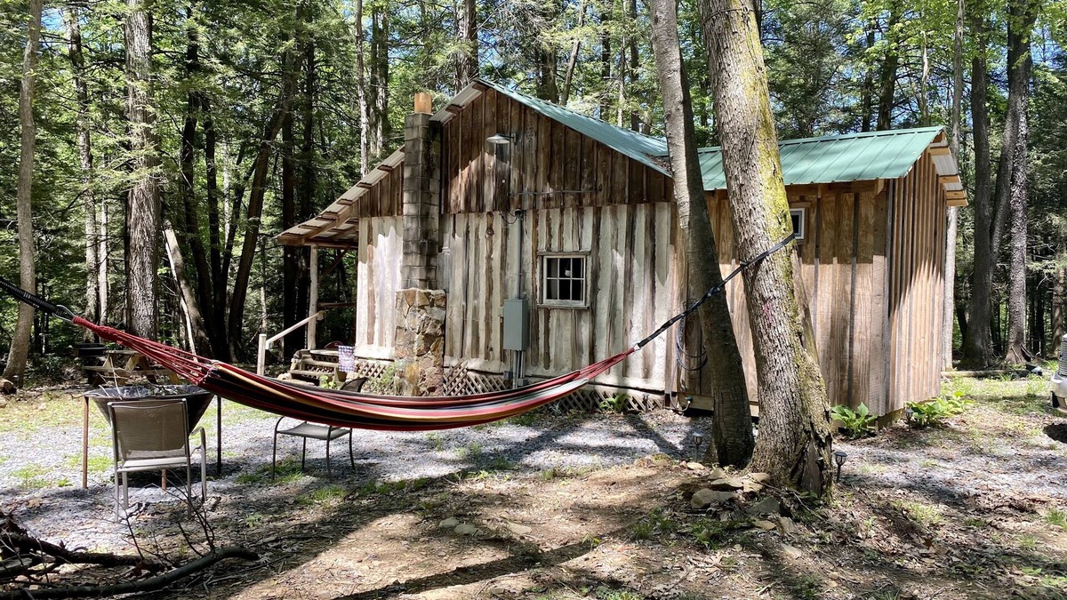 Aurora Cabin | Creekside Log Cabin w/firepit, near quaint towns Thomas/Davis & many state parks