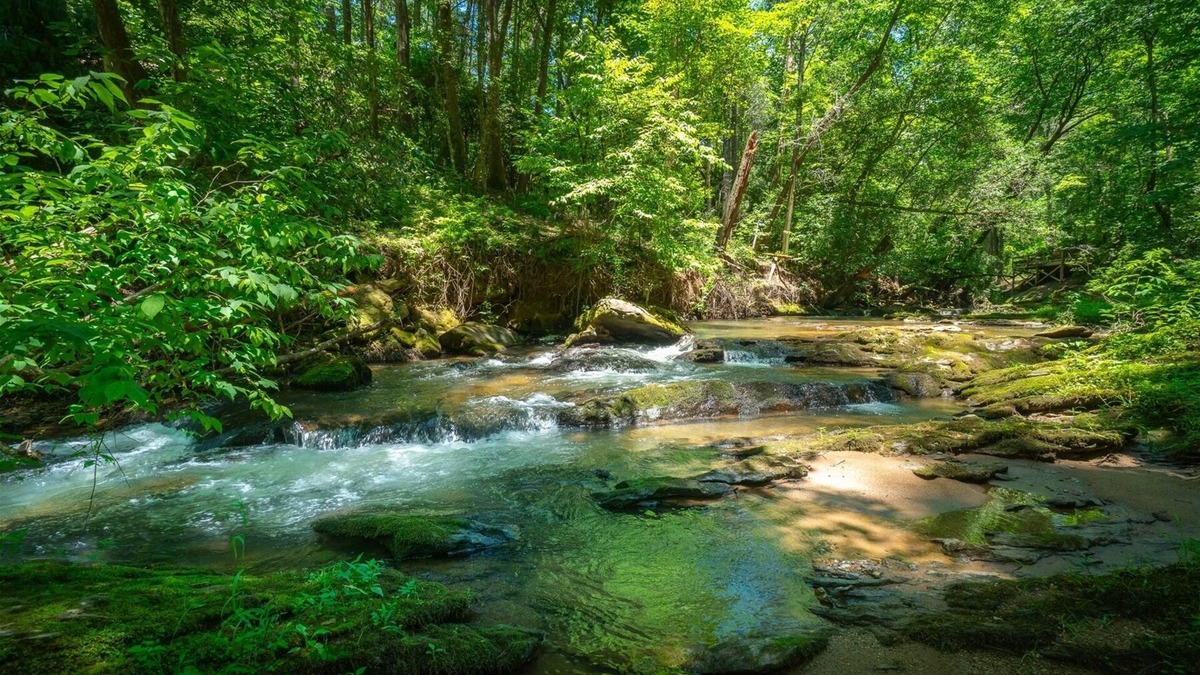 Cleveland House | Creekside Oasis– Pet-Friendly Cottage on Town Creek