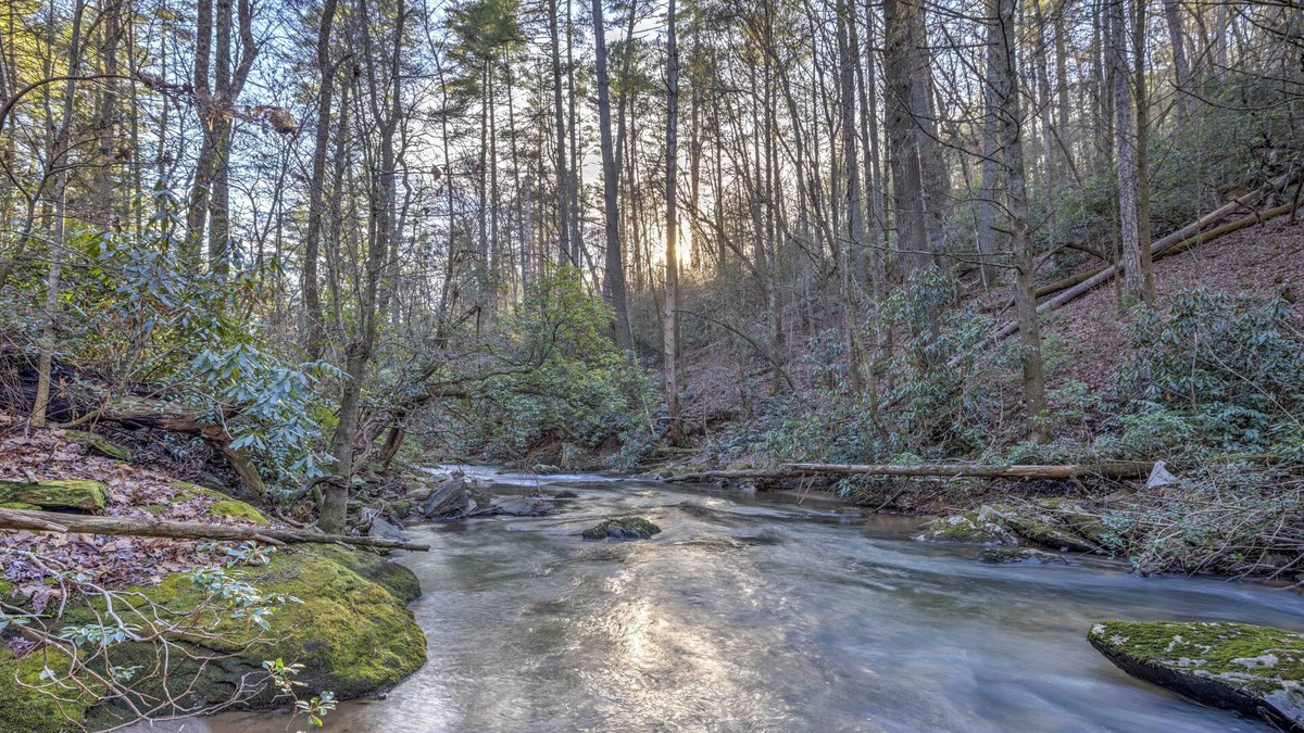 Cleveland Cabin | Creekside Oasis - Secluded Cabin in the Mountains on Swift Moving Creek