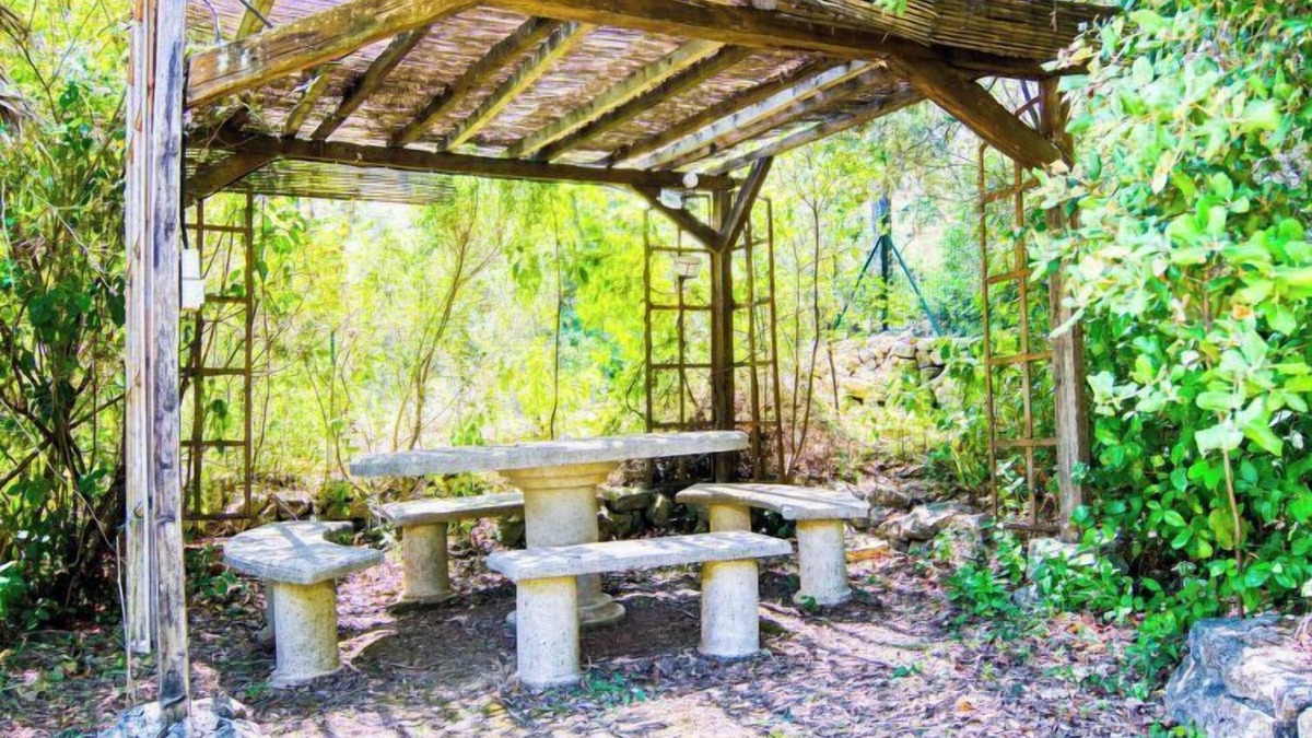 Pignans House | Cros de Gourdin by Interhome