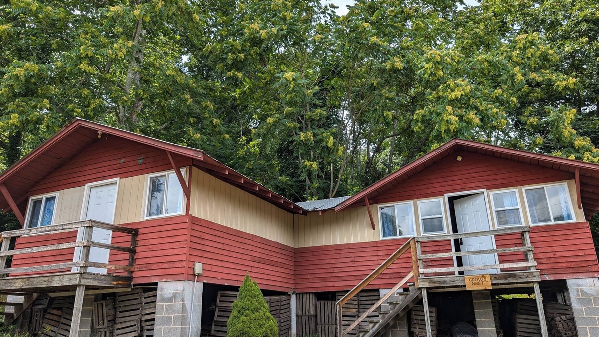 Capon Bridge Cabin | Crow's Nest Cabin at Buffalo Gap Retreat - a Pet-Friendly Destination!