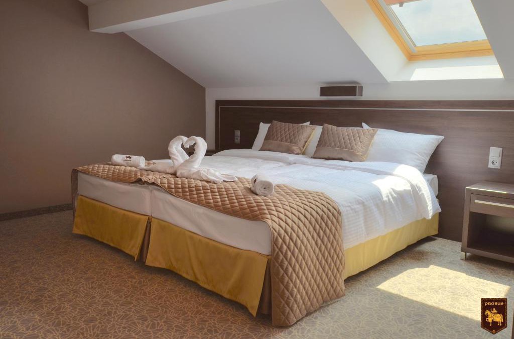 Olawa Apartment | CTKiR Browar Probus