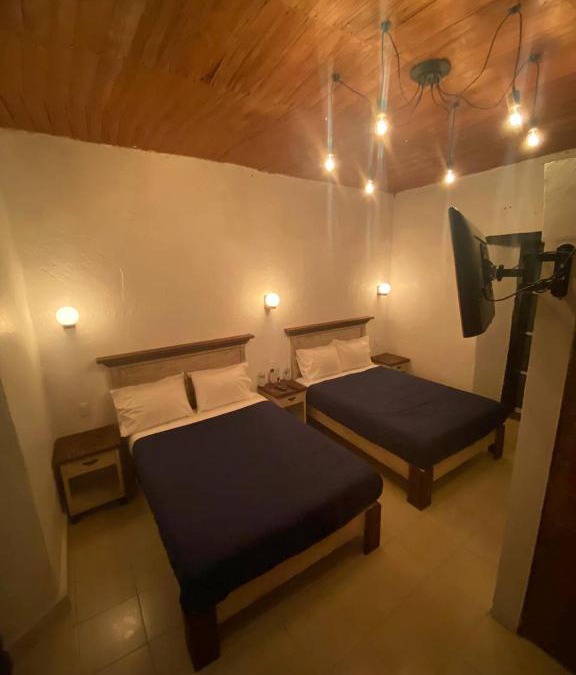 Centro Apartment | Cuarto Casa Alebrije