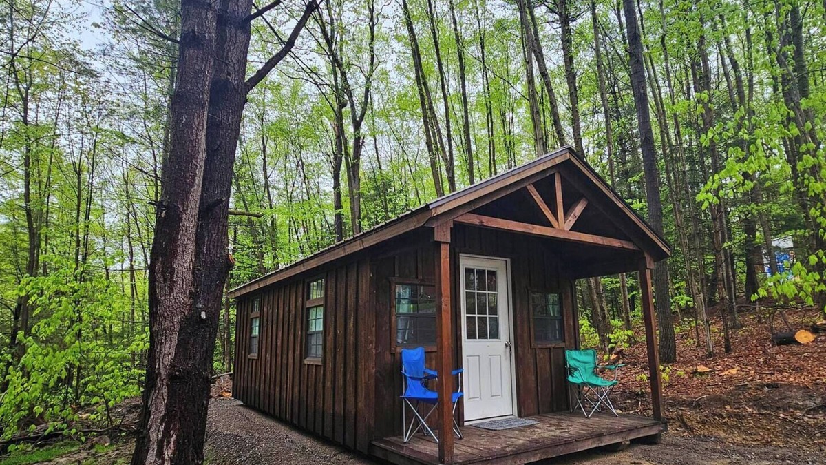 Dryden Cabin | Cub Cabin: Charming cabin with WiFi in Freeville - perfect for a cozy getaway