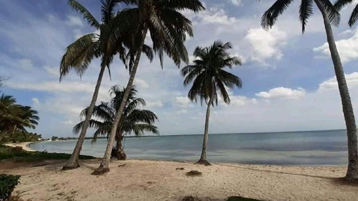 Municipality of Cienaga de Zapata House | Cuba Beach House