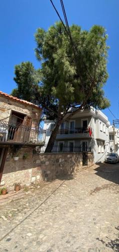 Ayvalik Apartment | Cunda Capri Home