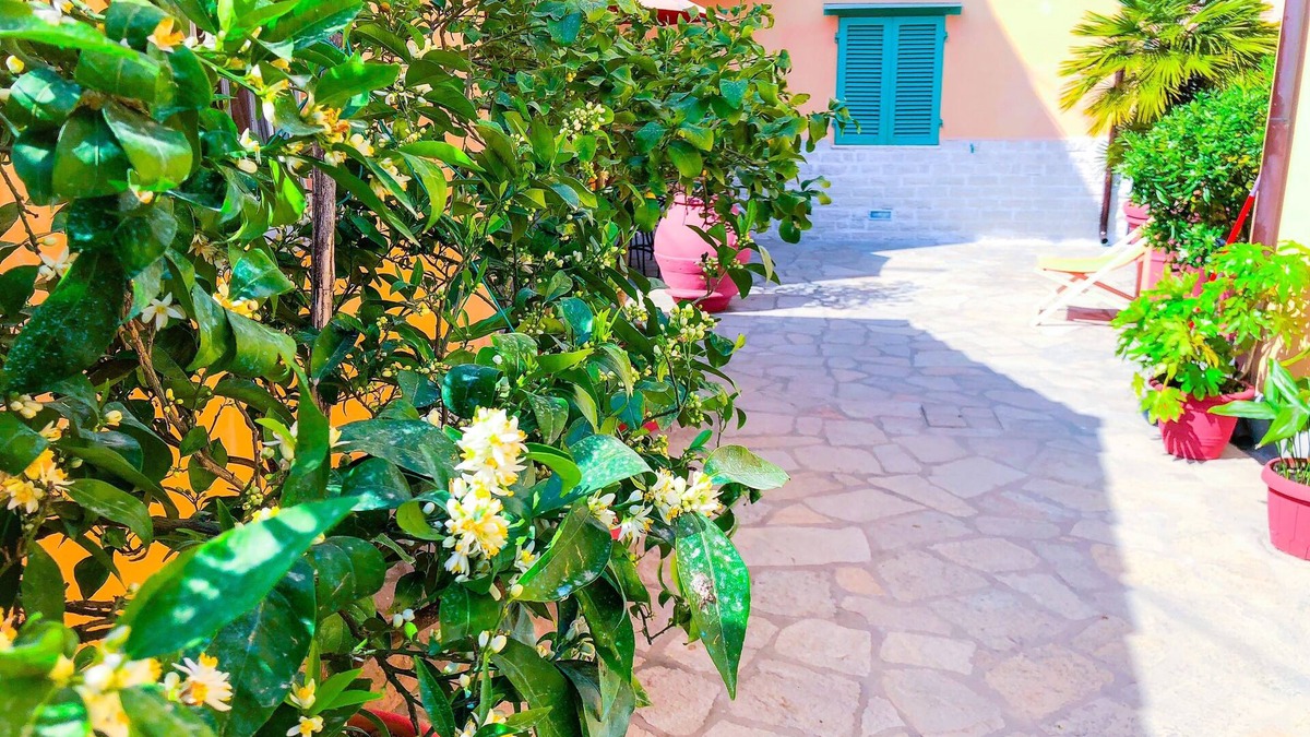 Nozzano Castello Apartment | Cuore di Nozzano Castello