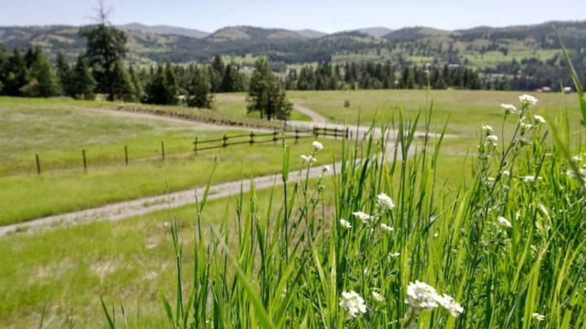 Republic House | Curlew Earth Home 2BD w/Valley & Mountain Views
