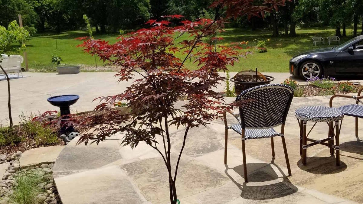 Colleyville House | Currently not for rent
