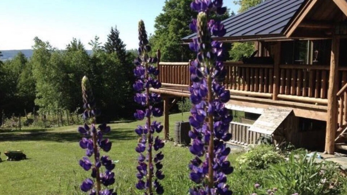 Northfield Cabin | Custom Built Luxury Log Home, Best on property Trout Fishing!