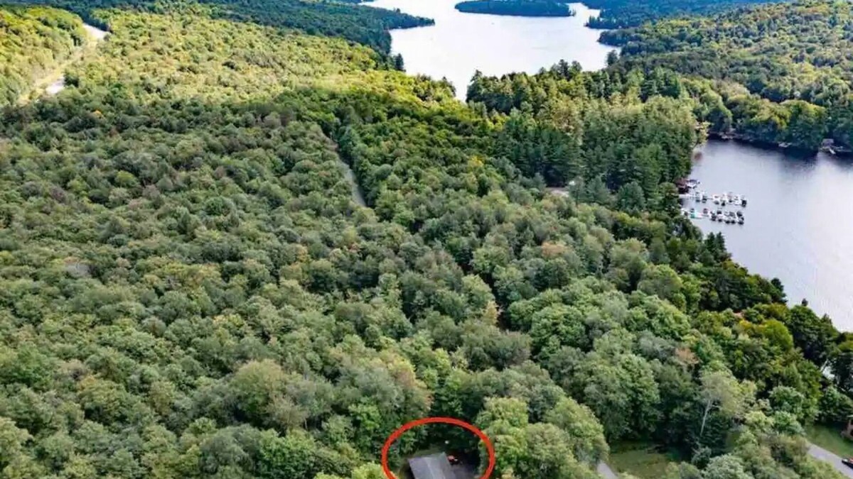 Old Forge Ski Chalet | Custom log home in the Adirondack Mountains "The Ducks Nest"