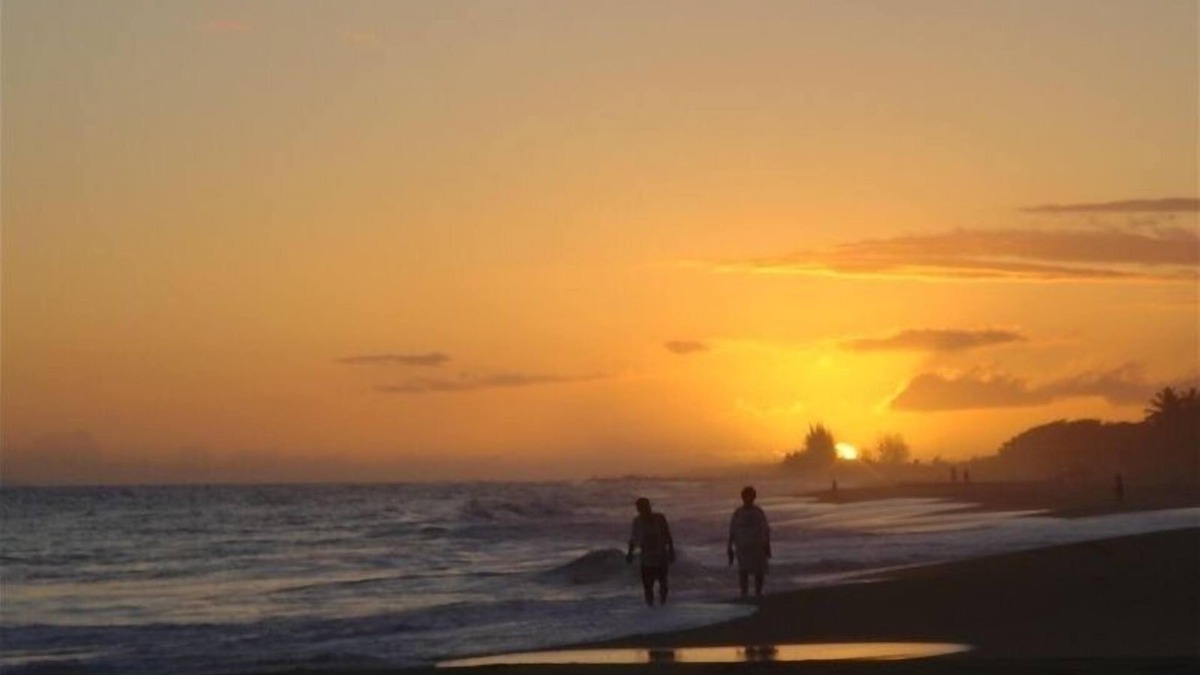 Kekaha House | Custom Ocean View Cottage w/NEW AC, 100 Steps to Beach.Sunsets TVNCU #5016