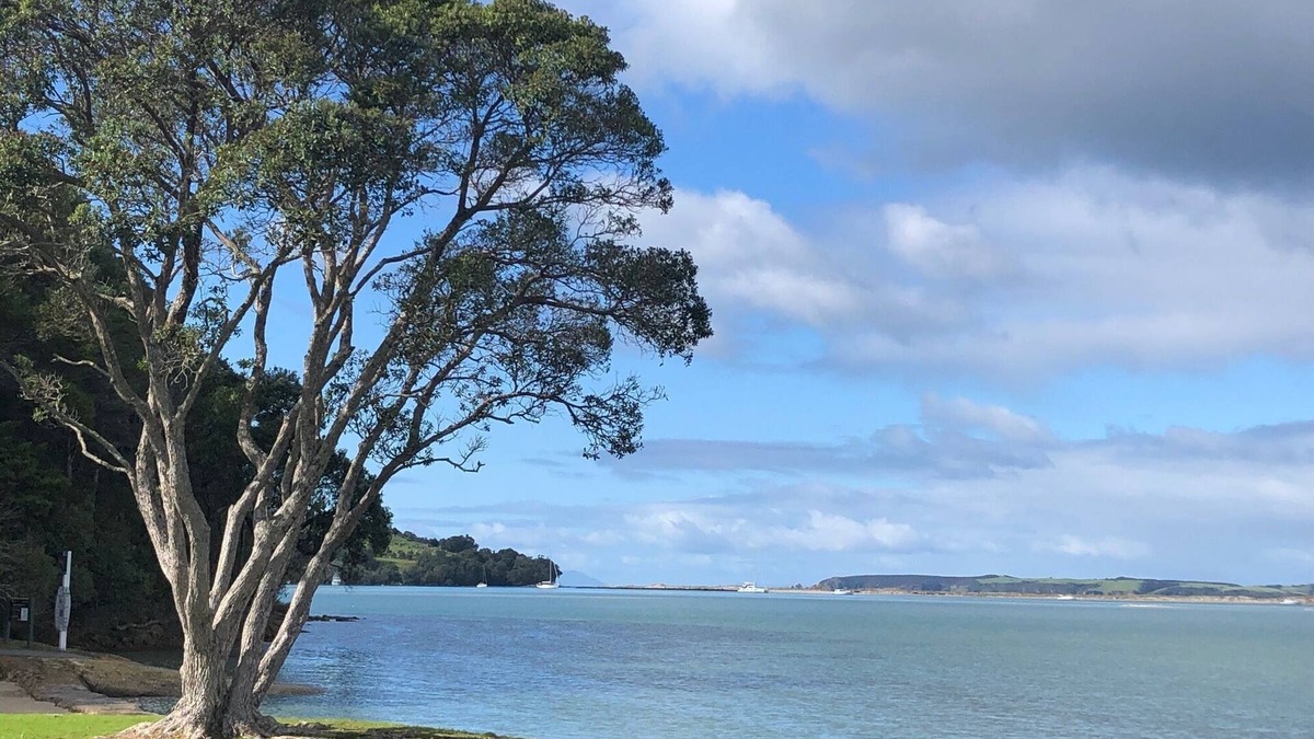 Whangateau House | Cute kiwi bach and separate modern cottage with sea views