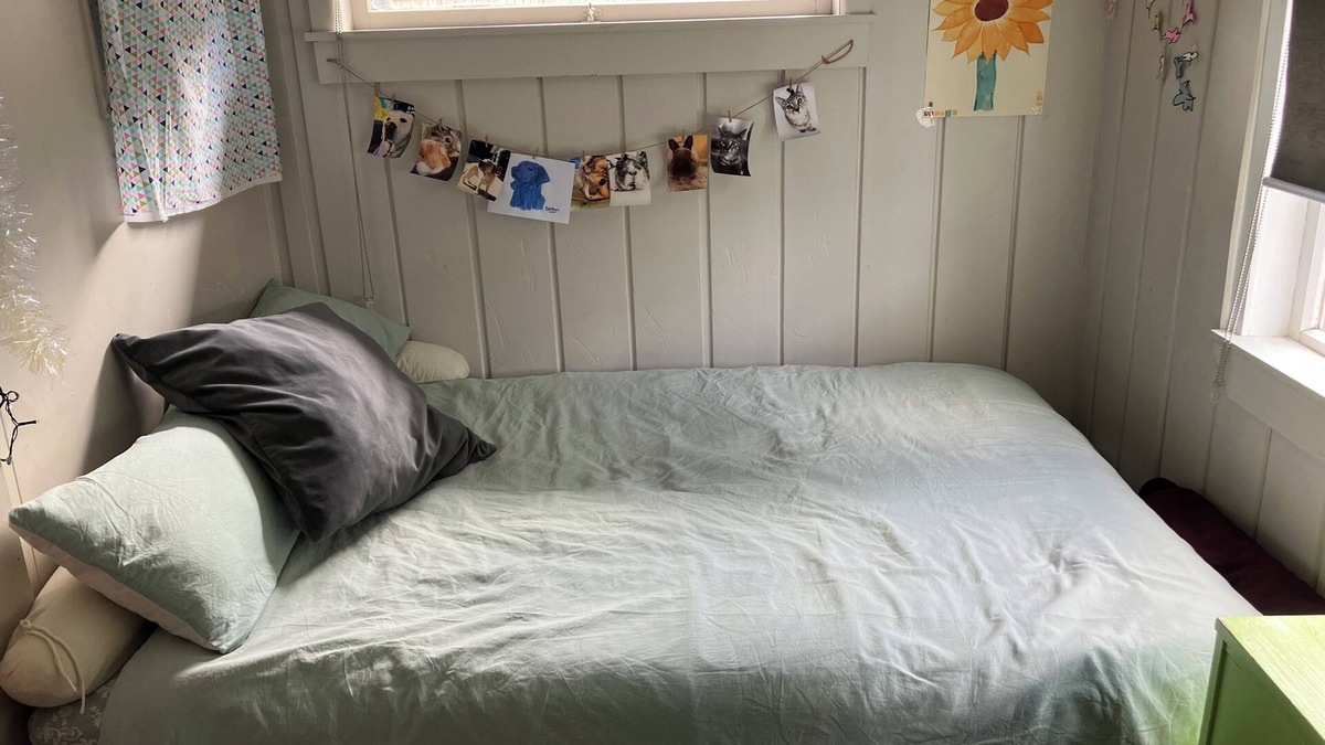 Taupo Apartment | Cute little hide out, peaceful, private