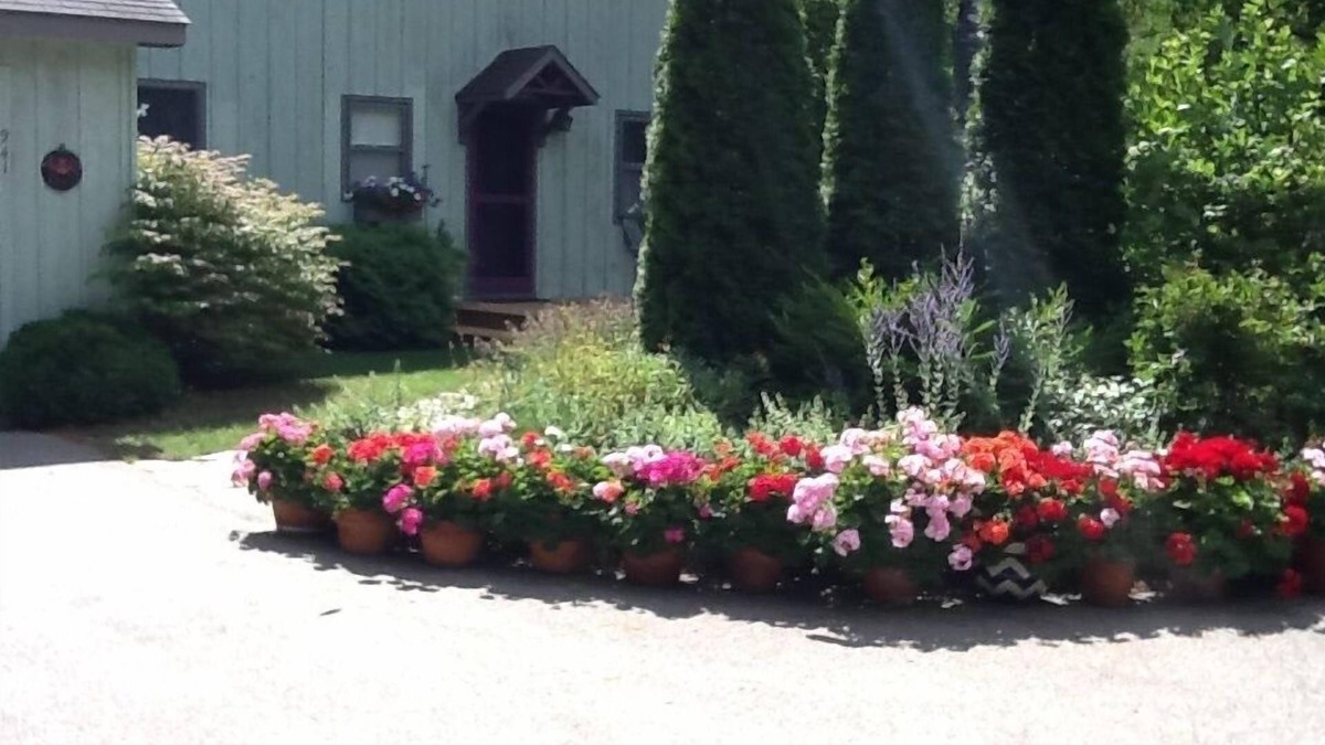 Leland House | Cute, quiet, sun filled home steps from everything that's great about Leland.
