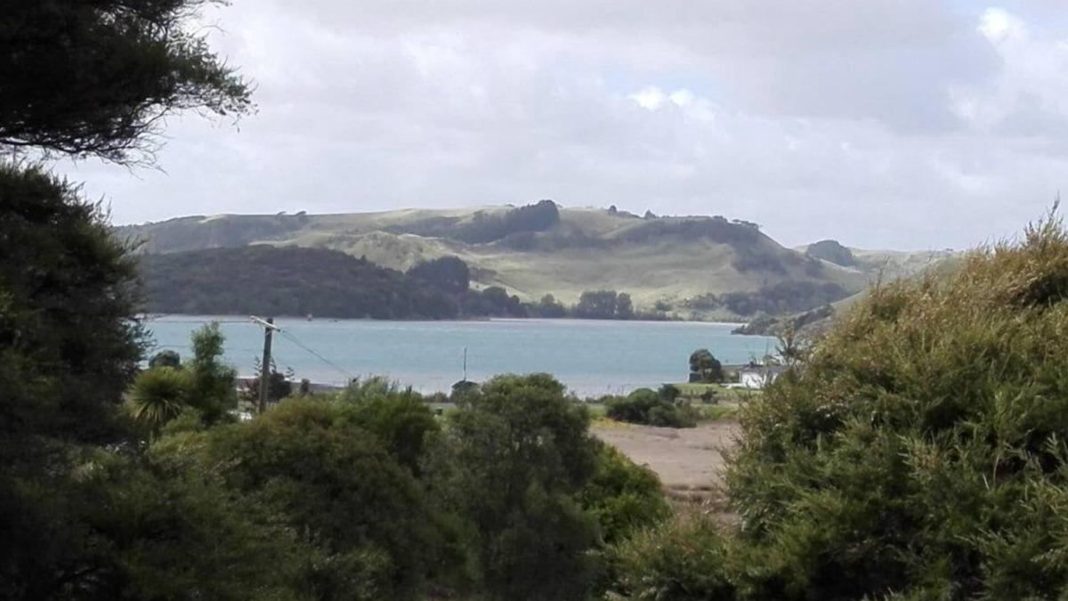 Raglan House | Cute, tree-wrapped cottage above the harbour