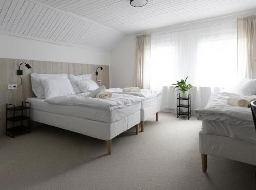 Stara Boleslav Hotel | Hotel Sport Houštka