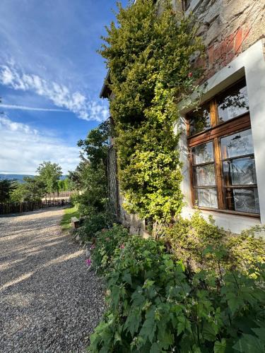 Myslakowice House | Czerwony Dworek 8 - Agroturystyka Karkonosze