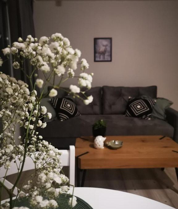 Zamosc Apartment | Czwarte Piętro