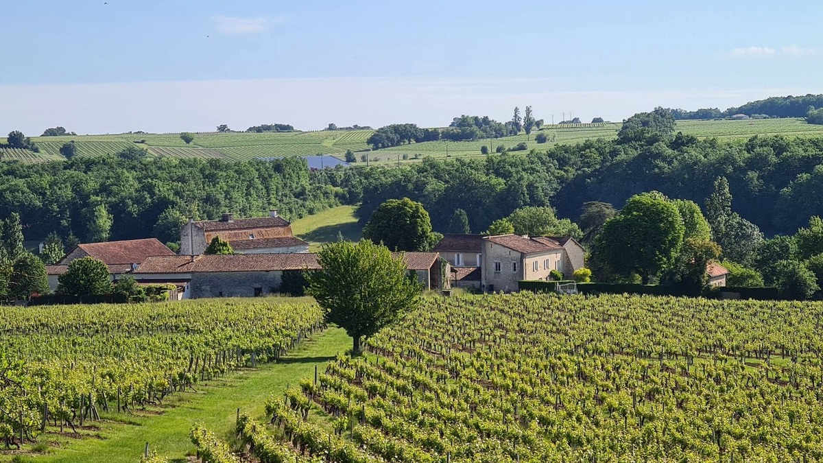 Les Leves-et-Thoumeyragues Bed & Breakfast | Dépendance Dans un Château des 15ème et 16ème Siècles