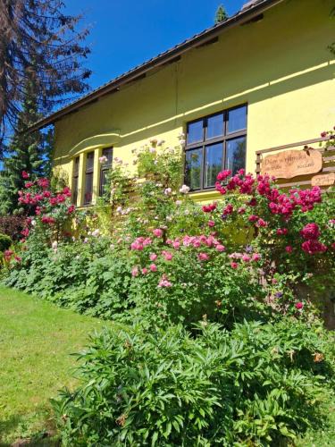 Nydek House | Dům u rybníka