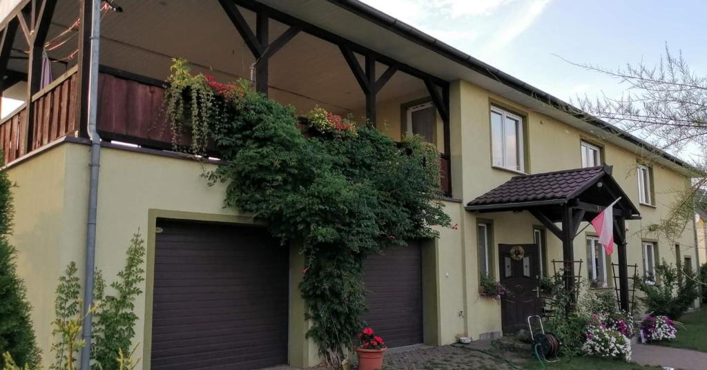 Zabor Apartment | Dżolanda Pokoje