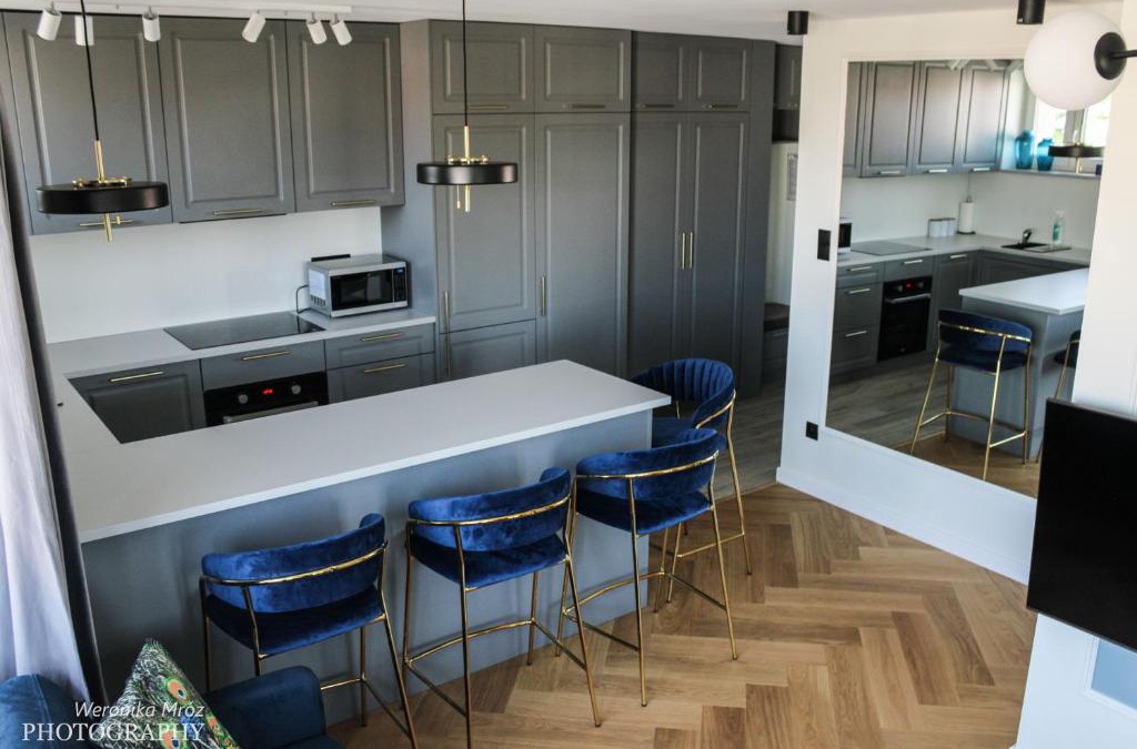 Bialystok Apartment | D Apartments "Z wizytą u Branickich"