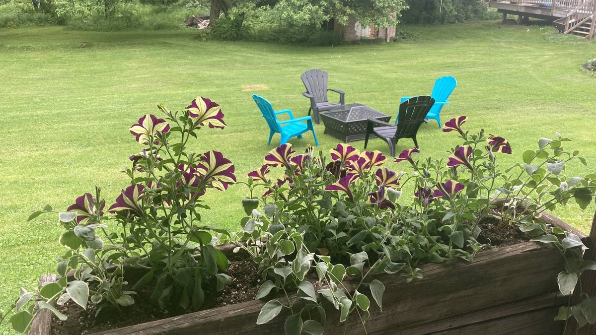 Elka Park Apartment | D & D's Place - All Season Beauty Quiet or Adventure, it's Here!