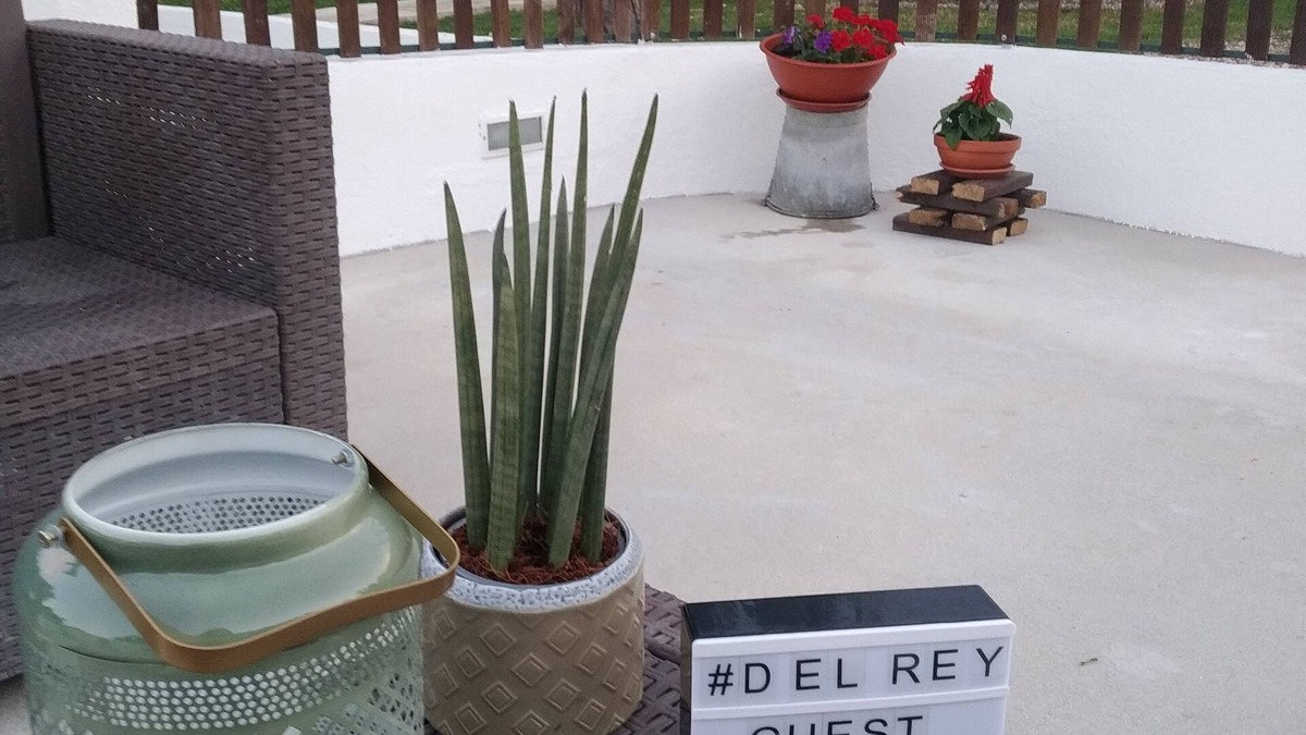 Tomar House | D'el Rey Guest House