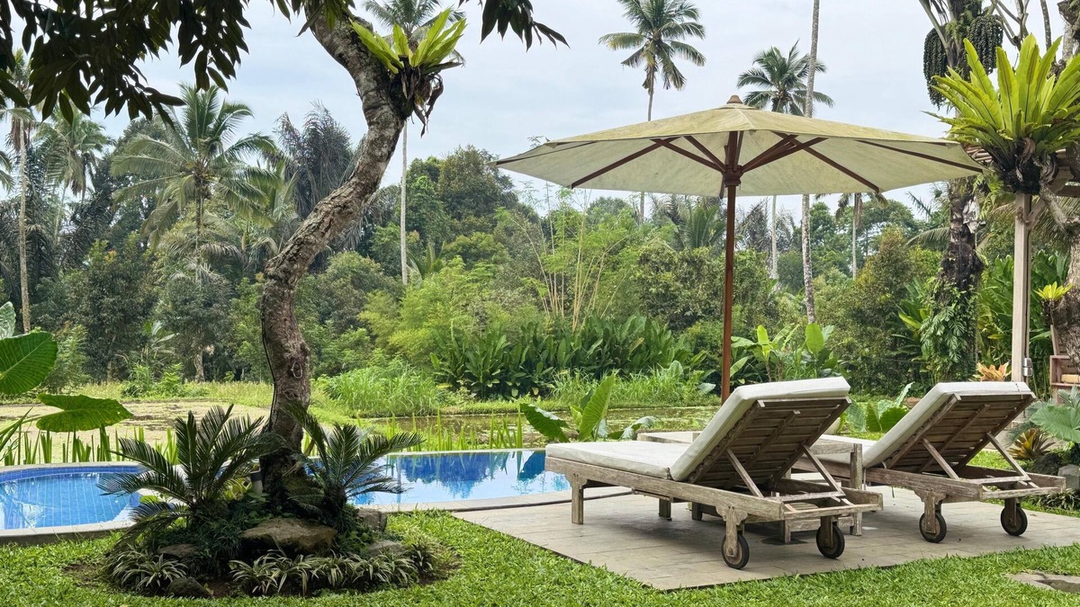 Taro Villa | D'Pondok Sangaji Ricefield View by EPS