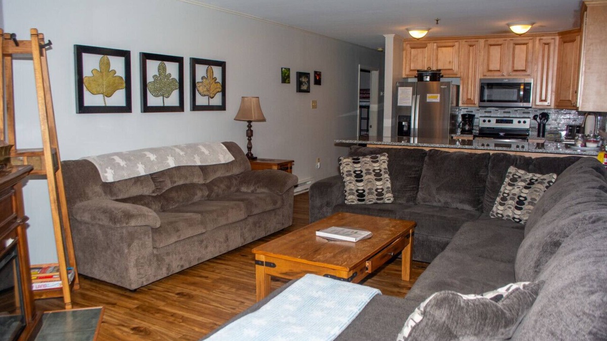 Ghent Condo | D103 · Winterplace Ski in Ski out condo First floor! D103