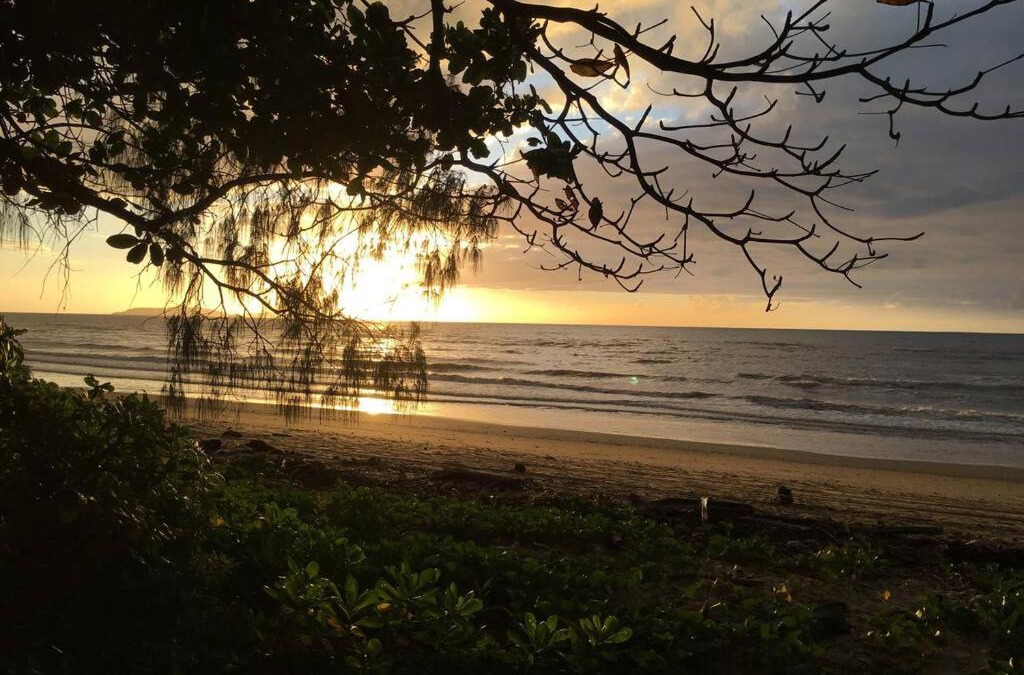 Wonga Beach Apartment | Daintree Beach Studio - BEACH FRONT ACCOMMODATION