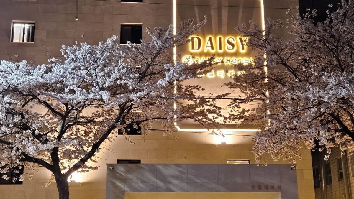 Tongyeong Hotel | Daisy Hotel