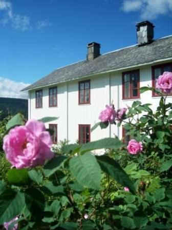 Oystre Slidre House | Dale Gård