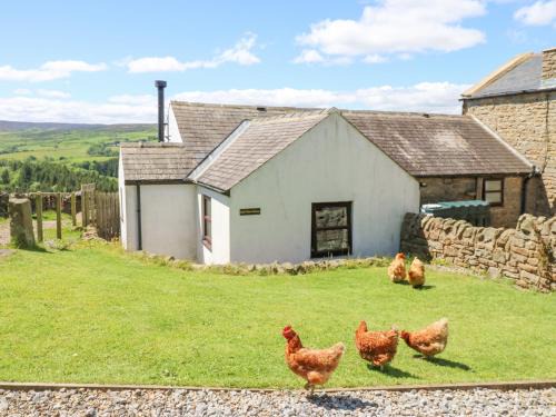 Allendale House | Dale View Cottage