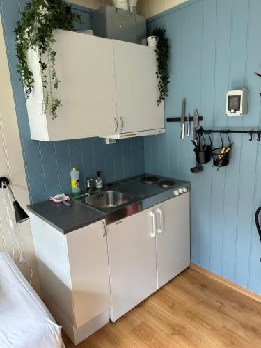 Voll Apartment | Damehuset